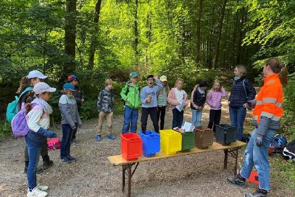 Waldjugendspiele