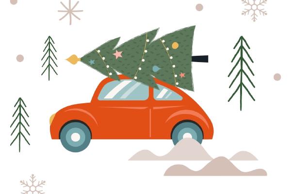 Weihnachtsbaumverkauf 2024